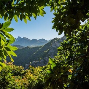 Meet your Posher, Monique